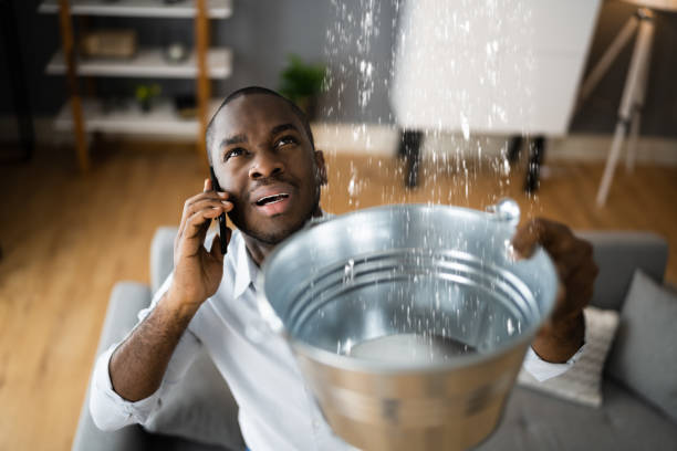 Best Water damage mitigation services  in Penhook, VA