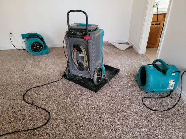 Best Flood restoration services  in Penhook, VA