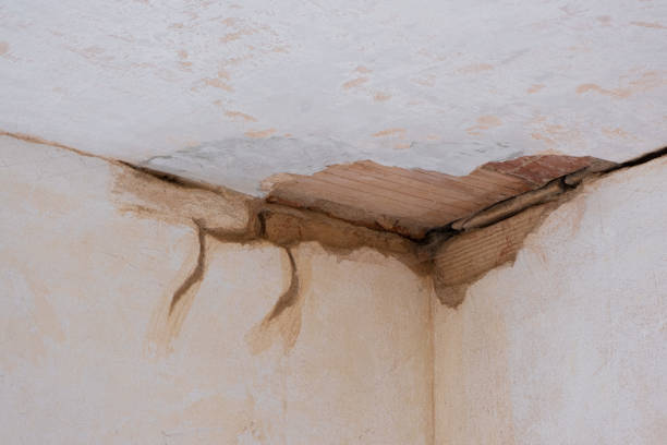Reliable VA Water damage restoration Solutions