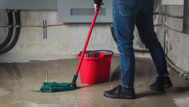 Best Ceiling water damage repair  in Penhook, VA