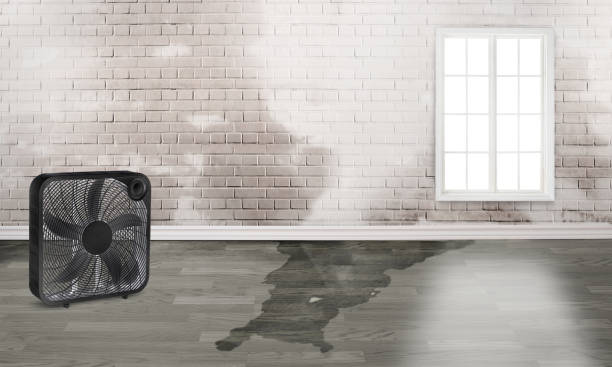  Penhook, VA Water damage restoration Pros