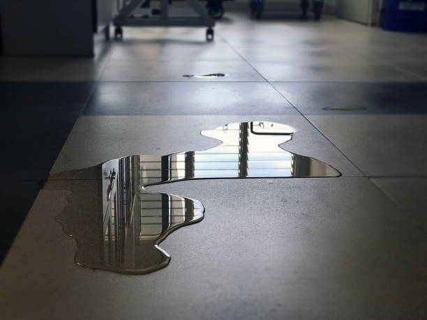 Best Water damage cleanup near me  in Penhook, VA