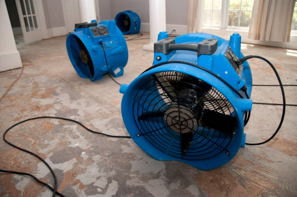 Best Flooded house restoration  in Penhook, VA