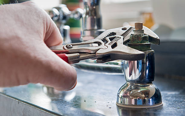 Best Mold removal after water damage  in Penhook, VA