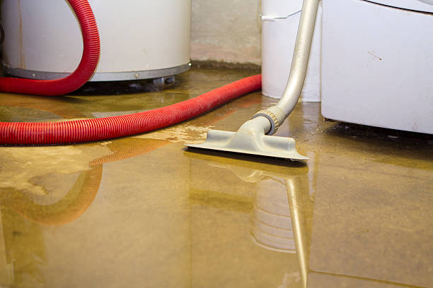 Best Basement water damage restoration  in Penhook, VA