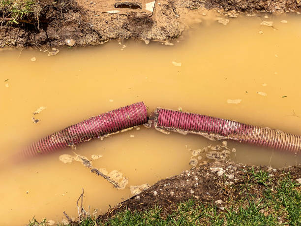Best Water damage cleanup near me  in Penhook, VA