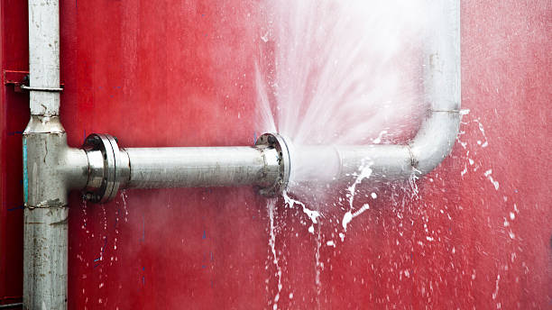 Best Water damage restoration mold remediation  in Penhook, VA