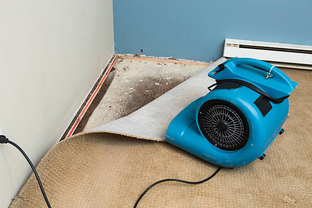 Best Water damage restoration near me  in Penhook, VA
